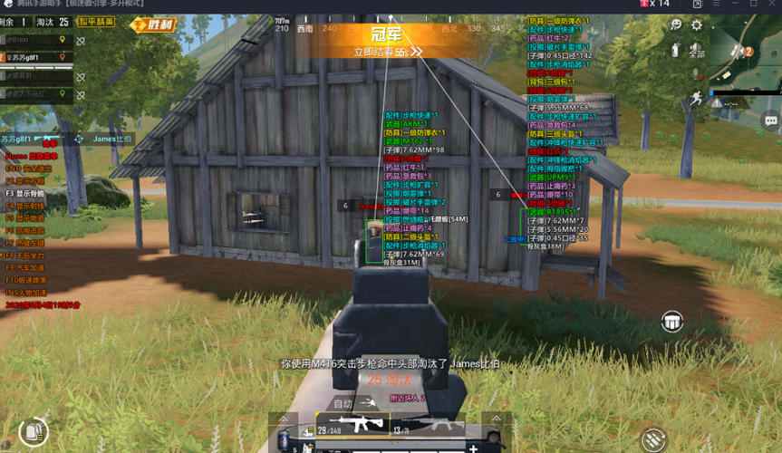 和平精英辅助：游戏公平性与技术挑战